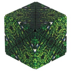 Shashibo: Forest